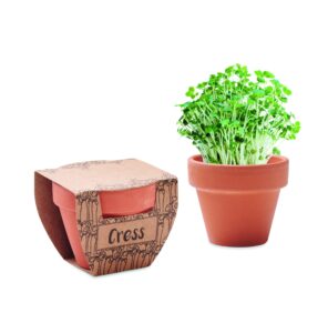 Nasiona rzeżuchy w doniczce CRESS POT