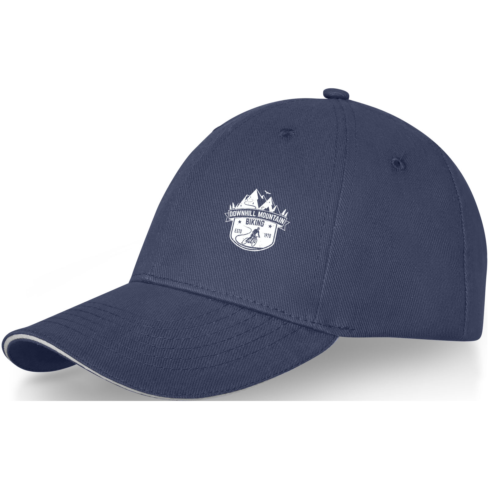 38679490_TR_Y1-MS2RC3