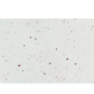 Wizytówka z nasionami dzikich kwia ASIDA