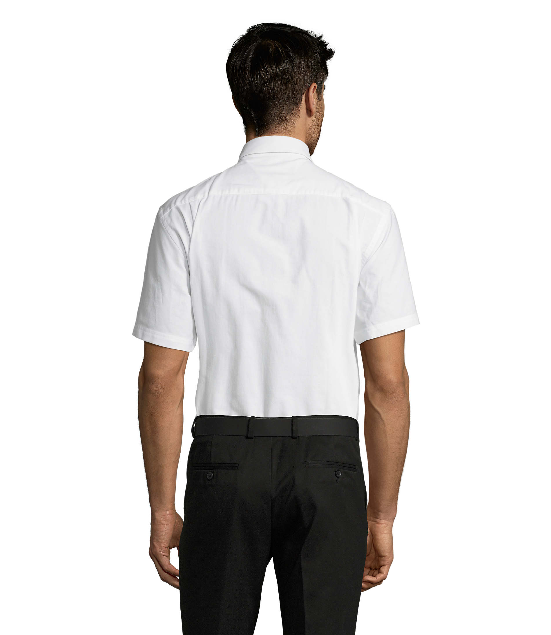 s16010-wh-back-bsMYmE