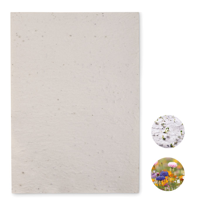Arkusz A4 z nasionami kwiatów Arkusz papieru z recyklingu w formacie A4 z nasionami dzikich kwiatów (80 gr/m²). Wyprodukowano w UE.